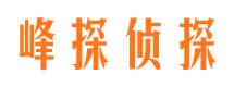 临县峰探私家侦探公司